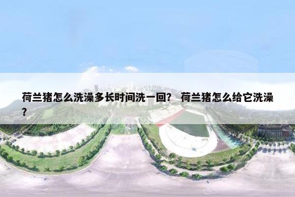 荷兰猪怎么洗澡多长时间洗一回？ 荷兰猪怎么给它洗澡？