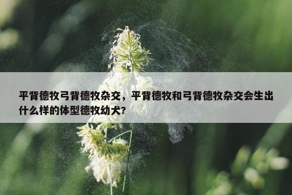 平背德牧弓背德牧杂交，平背德牧和弓背德牧杂交会生出什么样的体型德牧幼犬?