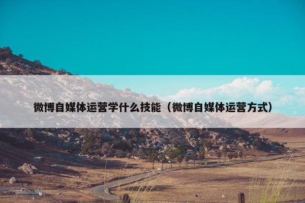 微博自媒体运营学什么技能（微博自媒体运营方式）