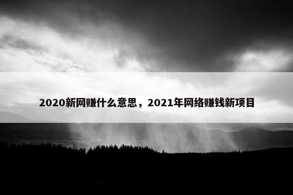2020新网赚什么意思，2021年网络赚钱新项目