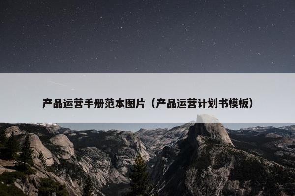 产品运营手册范本图片（产品运营计划书模板）