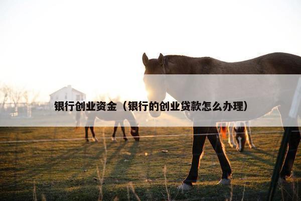 银行创业资金（银行的创业贷款怎么办理）