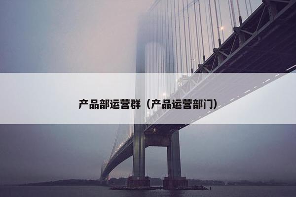 产品部运营群（产品运营部门）