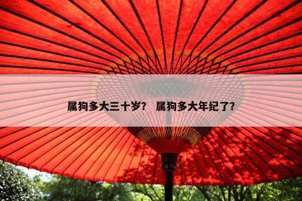 属狗多大三十岁？ 属狗多大年纪了？