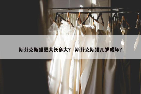 斯芬克斯猫更大长多大？ 斯芬克斯猫几岁成年？