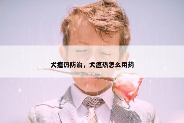 犬瘟热防治，犬瘟热怎么用药