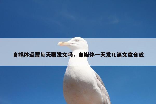 自媒体运营每天要发文吗，自媒体一天发几篇文章合适
