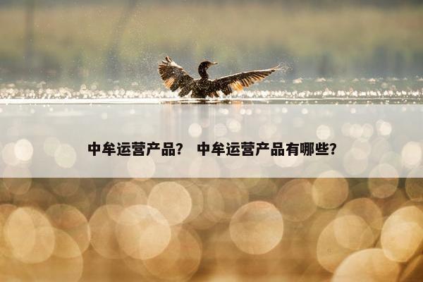 中牟运营产品？ 中牟运营产品有哪些？