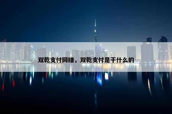 双乾支付网赚，双乾支付是干什么的