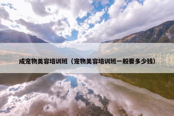 成宠物美容培训班（宠物美容培训班一般要多少钱）