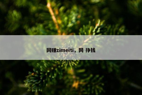 网赚zimeiti，网 挣钱