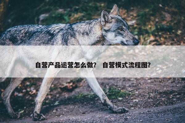 自营产品运营怎么做？ 自营模式流程图？
