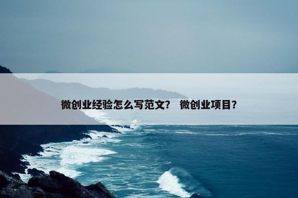 微创业经验怎么写范文？ 微创业项目？
