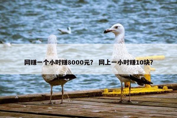 网赚一个小时赚8000元？ 网上一小时赚10块？