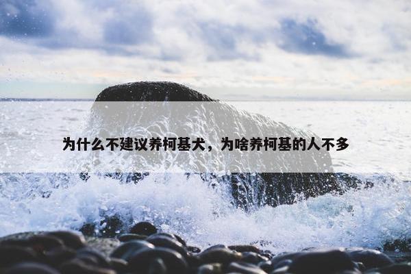 为什么不建议养柯基犬，为啥养柯基的人不多
