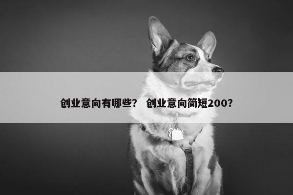 创业意向有哪些？ 创业意向简短200？