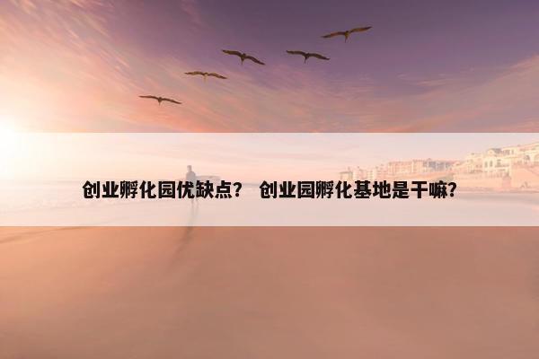 创业孵化园优缺点？ 创业园孵化基地是干嘛？