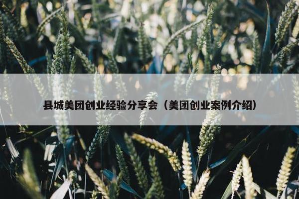 县城美团创业经验分享会（美团创业案例介绍）