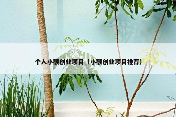 个人小额创业项目（小额创业项目推荐）
