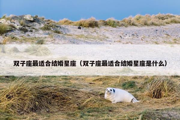 双子座最适合结婚星座（双子座最适合结婚星座是什么）