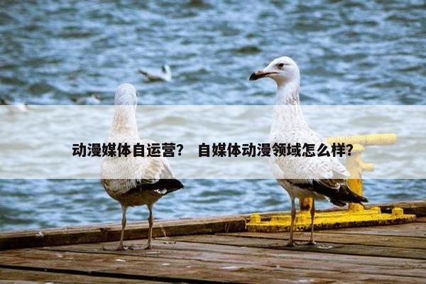 动漫媒体自运营？ 自媒体动漫领域怎么样？