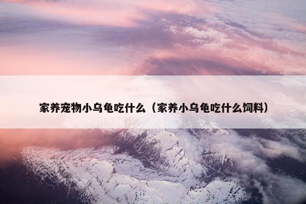 家养宠物小乌龟吃什么（家养小乌龟吃什么饲料）