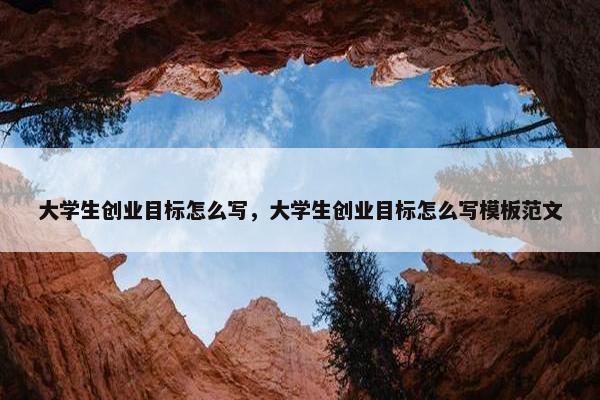 大学生创业目标怎么写，大学生创业目标怎么写模板范文