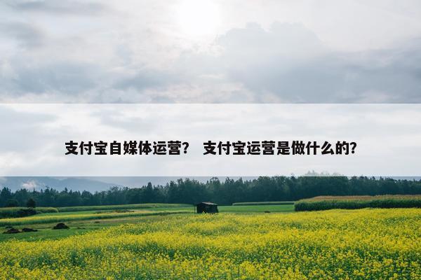 支付宝自媒体运营？ 支付宝运营是做什么的？