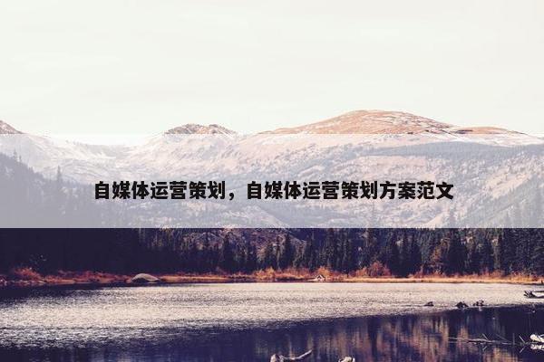 自媒体运营策划，自媒体运营策划方案范文