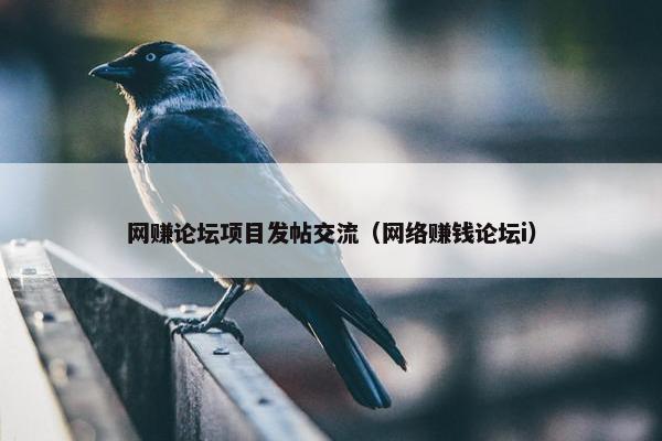 网赚论坛项目发帖交流（网络赚钱论坛i）