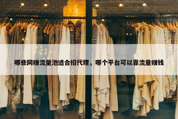 哪些网赚流量池适合招代理，哪个平台可以靠流量赚钱