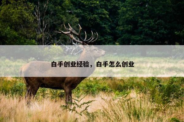白手创业经验，白手怎么创业