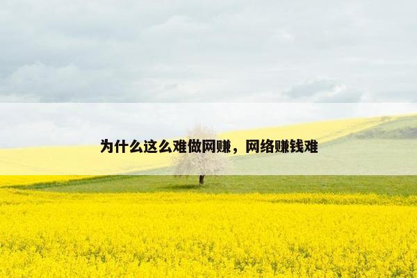 为什么这么难做网赚，网络赚钱难
