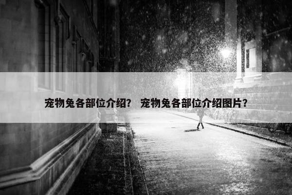 宠物兔各部位介绍？ 宠物兔各部位介绍图片？