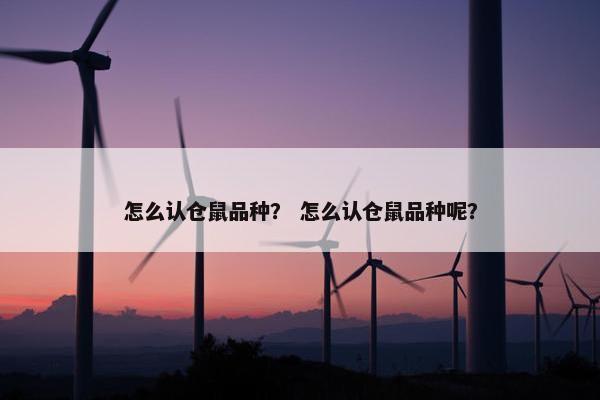 怎么认仓鼠品种？ 怎么认仓鼠品种呢？
