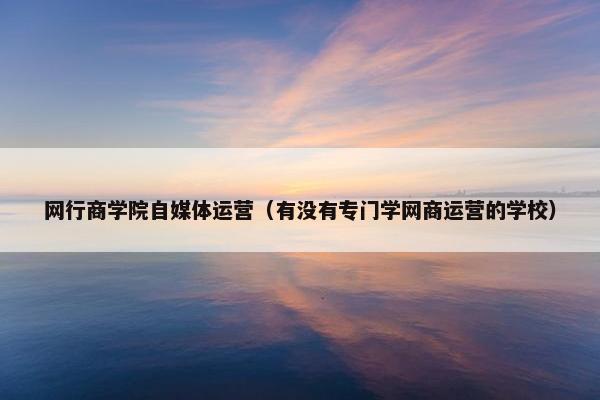 网行商学院自媒体运营（有没有专门学网商运营的学校）