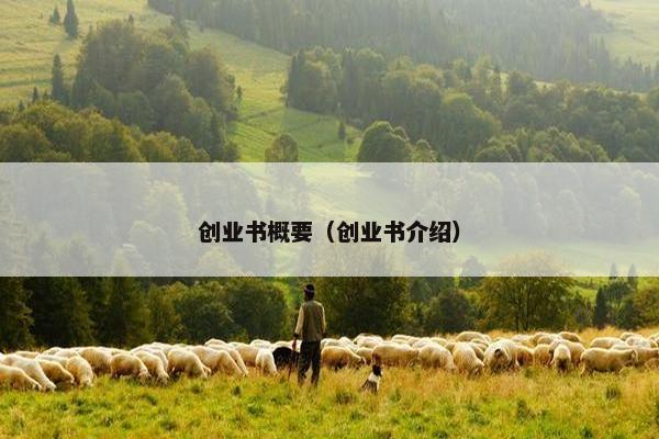 创业书概要（创业书介绍）