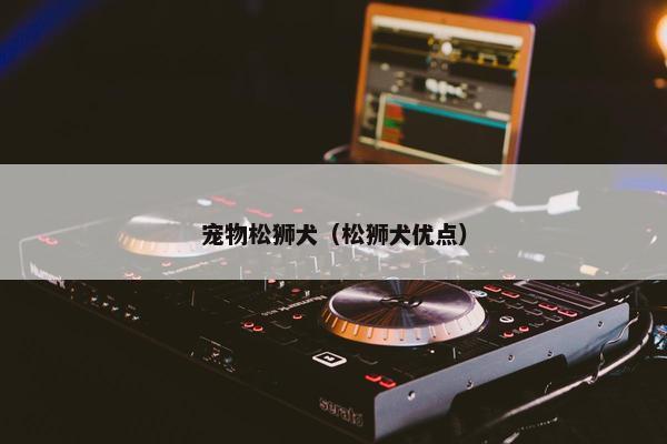 宠物松狮犬（松狮犬优点）