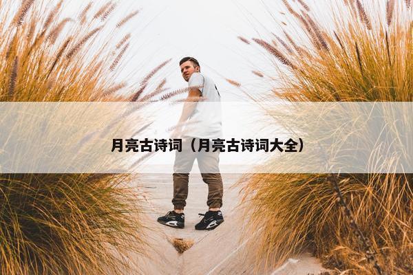 月亮古诗词（月亮古诗词大全）