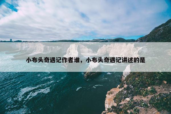 小布头奇遇记作者谁，小布头奇遇记讲述的是