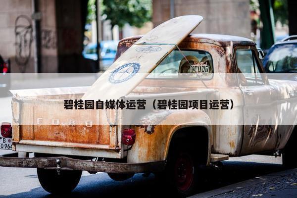 碧桂园自媒体运营（碧桂园项目运营）