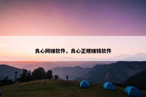 良心网赚软件，良心正规赚钱软件