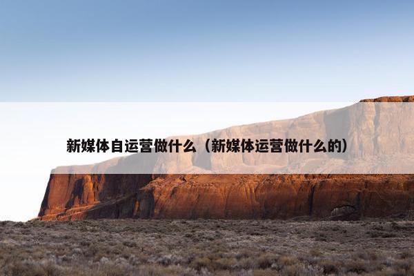 新媒体自运营做什么（新媒体运营做什么的）
