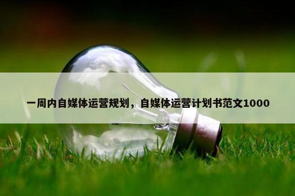 一周内自媒体运营规划，自媒体运营计划书范文1000