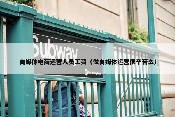 自媒体电商运营人员工资（做自媒体运营很辛苦么）
