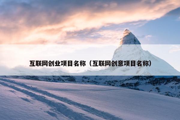 互联网创业项目名称（互联网创意项目名称）