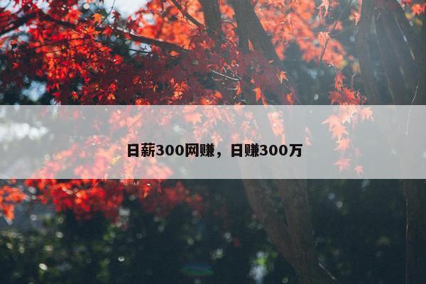 日薪300网赚，日赚300万