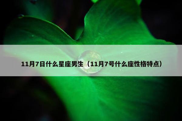 11月7日什么星座男生（11月7号什么座性格特点）