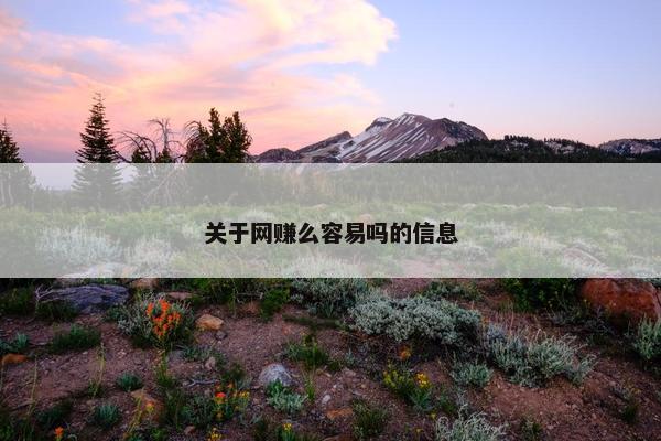 关于网赚么容易吗的信息