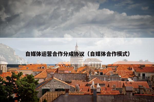 自媒体运营合作分成协议（自媒体合作模式）
